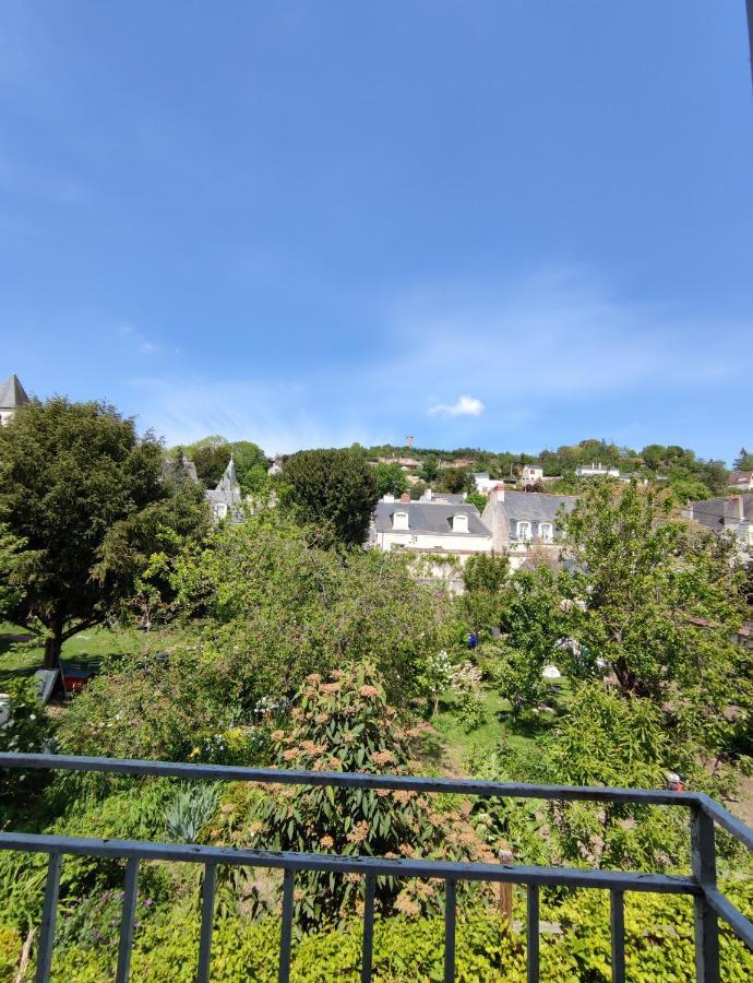 Gite La P'Tite Terrasse Chinon Centre 외부 사진